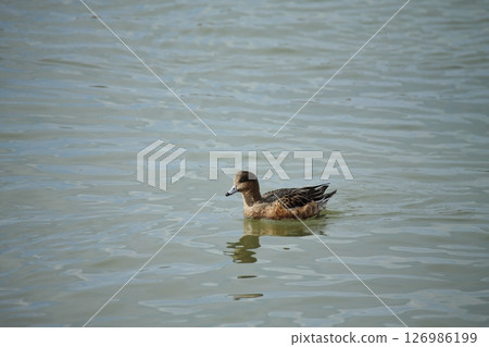 Arao City Port Scenery, 126986199