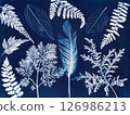 Cyanotype Leaves and Feather. A cyanotype featuring various leaves 126986213