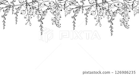 Currant gooseberry with long flower clusters on branch, leaves, ripe garden berry juneberry casseille jostaberry. Hand drawn in vector ink. Isolated seamless banner border. Cafe menu, farmers market 126986235