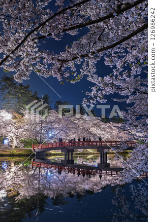 Hirosaki Cherry Blossom Festival Cherry Blossoms at Night - Shunyo Bridge Covered in Cherry Blossoms 05 126986242
