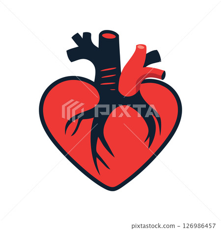 Heart Anatomy Illustration Red Heart with Vessels 126986457