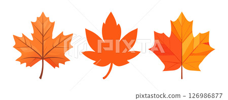 Autumn Maple Leaves Fall Foliage Image Autumn Maple Leaves Fall Foliage Image 126986877