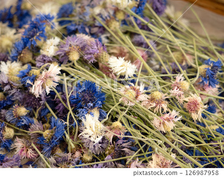 Dried herbs Cornflower Cornflower 126987958
