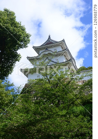 明石公園 126988779