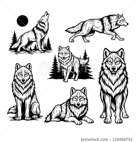 Collection of detailed black and white wolf illustrations in various poses with forest elements, ideal for tattoos, logos, apparel, and wildlife designs. Animals. 126988791