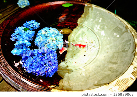 Floating hydrangeas at Meigetsuin Temple in Kamakura Floating hydrangeas at Meigetsuin Temple in Kamakura 126989062