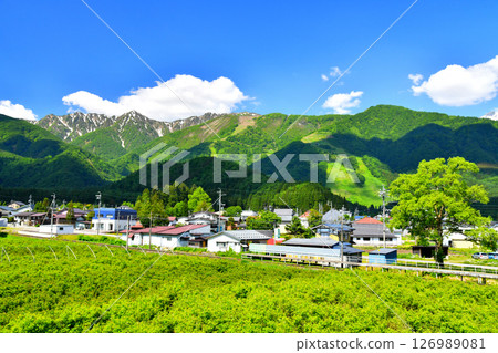 View of the Hakuba Goryu Ski Resort from near Iimori Station on the JR Oito Line (Hakuba Village, Nagano Prefecture) [June 2025] 126989081