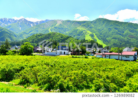 從 JR 大糸線飯盛站附近眺望白馬五龍滑雪場（長野縣白馬村）[2025 年 6 月] 126989082