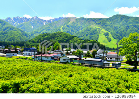 View of the Hakuba Goryu Ski Resort from near Iimori Station on the JR Oito Line (Hakuba Village, Nagano Prefecture) [June 2025] 126989084