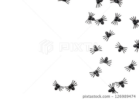 Black spiders isolated on a white background. Black spiders isolated on a white background. 126989474