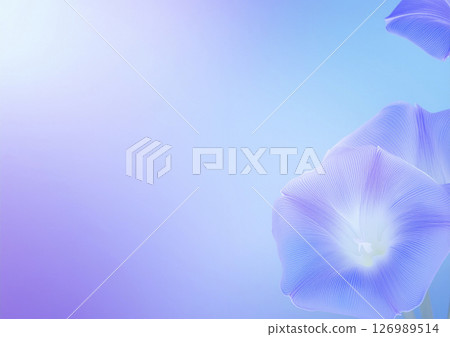 柔和的牽牛花印像以及藍色、淺藍色和紫色的漸變 柔和的牽牛花印像以及藍色、淺藍色和紫色的漸變 126989514