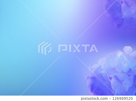 Hydrangeas on the right and a gradation of blue, light blue, and purple Hydrangeas on the right and a gradation of blue, light blue, and purple 126989520
