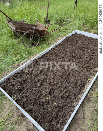 A tall garden bed with a wooden frame. Filled with fertile soil. Next to it stands a homemade wheelbarrow. 126989626