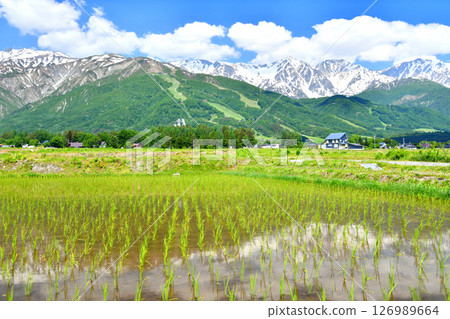 白馬村風景 / 眺望白馬三山（長野縣白馬村）[2025年6月] 126989664