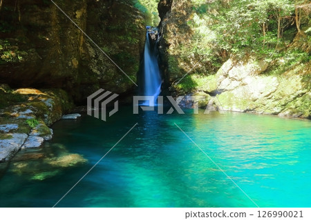 [高知縣] Nikobuchi（仁淀藍） 126990021