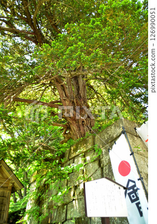 Hanitsu Shrine, the guardian deity of Aizu, in Minesan, Inawashiro Town, Fukushima Prefecture 126990051