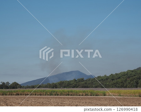 田野風景。森林大火冒出的濃煙?卡米拉,澳大利亞 田野風景。森林大火冒出的濃煙?卡米拉,澳大利亞 126990418