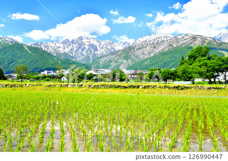 View of Mt. Goryu and Mt. Karamatsu from near JR Hakuba Station (Hakuba Village, Nagano Prefecture) [June 2025] 126990447