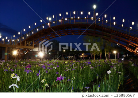 浪漫的茨城(潮來象徵的拱橋水雲橋的燈籠亮起,開始彩燈活動)潮來菖蒲節 浪漫的茨城(潮來象徵的拱橋水雲橋的燈籠亮起,開始彩燈活動)潮來菖蒲節 126990567