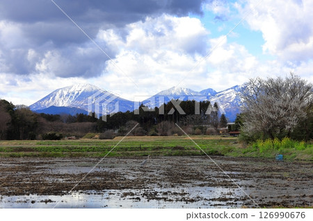 Spring in the Nikko Mountains / Nikko City, Tochigi Prefecture 126990676