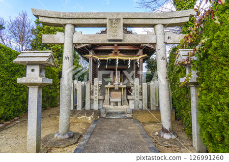 Tsuyashima Yuhime Ryujin（大阪府八尾市神立） 126991260