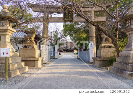 道明寺天滿宮、鵝卵石路、梅花節（藤井寺、大阪） 126991262