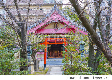 Tosa Inari Shrine, Ishinomiya Shrine, New Year's Day (Kitahorie, Nishi-ku, Osaka-shi, Osaka) 126991264