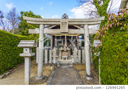 Tsuyashima Yuhime Ryujin (Kandatsu, Yao City, Osaka Prefecture) 126991265