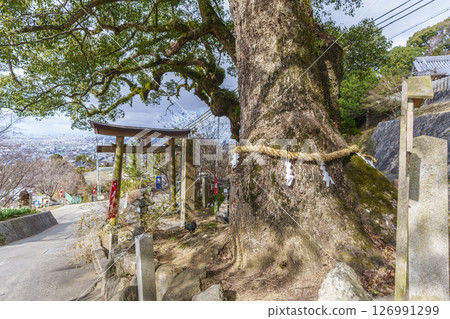 Tamaso神社：從Okusu俯瞰大阪市和東大阪市 126991299