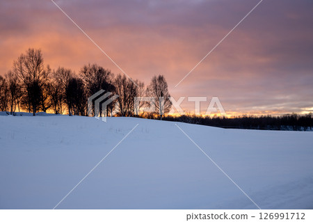 Snow, trees and sunset, Lundenes, Norway 126991712