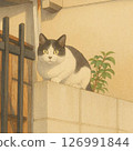 一隻貓在牆上 126991844