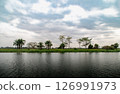 Tropical Kwanza Riverbank with Palms and Trees Under Cloudy Sky, Angola 126991973