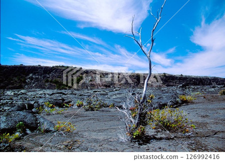 夏威夷火山國家公園，夏威夷島 126992416