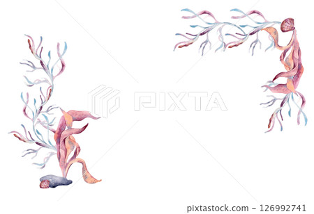 Vibrant watercolor seaweeds on corner frame isolated. Marine border with pink ocean plants and coral elements hand drawn. Sea Plants and kelp for beach wedding stationery, nautical packaging. 126992741