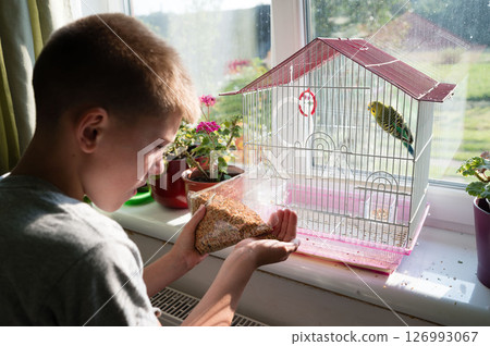 Boy feeding his pet bird. A heartwarming moment of care and connection between a young boy and his feathered friend. Boy feeding his pet bird. A heartwarming moment of care and connection between a young boy and his feathered friend. 126993067