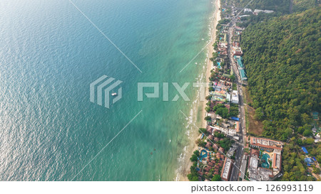 Tropical beach meeting lush green forest in aerial view, vibrant coastline embraces tranquil nature 126993119