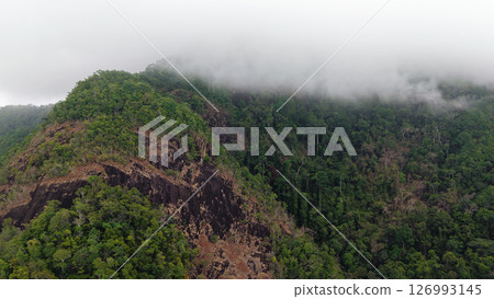 Low clouds covering lush tropical rainforest and mountain peak 126993145