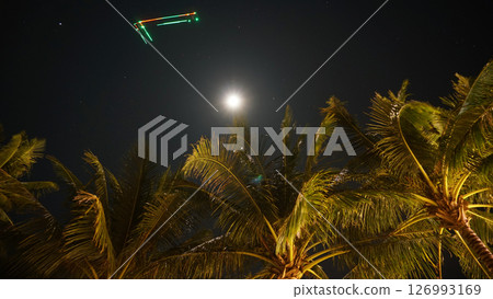 Bright moon shining over palm trees at night 126993169