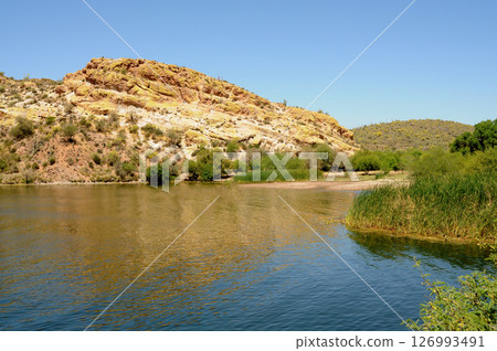 Early Summer at Saguaro lake in Arizona Early Summer at Saguaro lake in Arizona 126993491