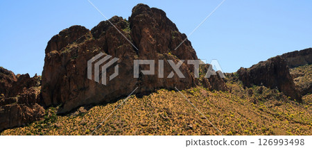 Early Summer Salt River Recreation Area Arizona 126993498