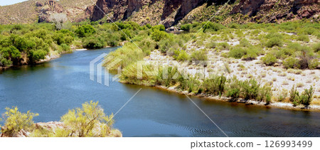 Early Summer Salt River Recreation Area Arizona Early Summer Salt River Recreation Area Arizona 126993499