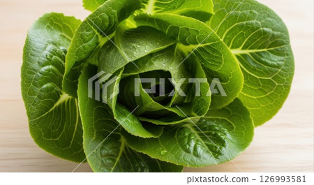 Fresh Green Butterhead Lettuce Closeup 126993581