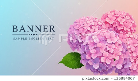 明亮的粉紅色繡球花，背景從淡藍色到粉紅色漸變 126994007