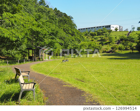 Urido自然公園(市原市) Urido自然公園(市原市) 126994514