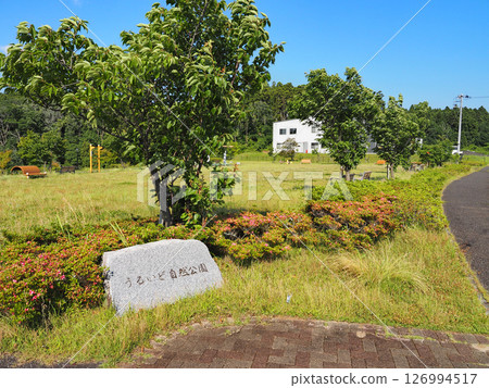 Urido Natural Park (Ichihara City) Urido Natural Park (Ichihara City) 126994517