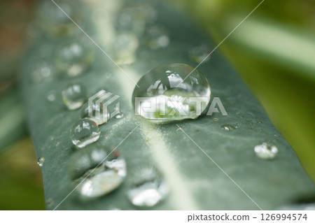 Kenya Photographers By Antony Trivet Photography Kenya Photographers By Antony Trivet Photography 126994574