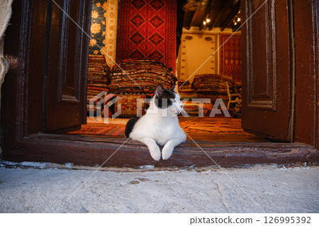 Street black and white cat of Turkey , rugs and carpet merchandise displayed on shop in street , cat laying on top of the store, handmade carpets in Kas, Antalya, ottoman style Street black and white cat of Turkey , rugs and carpet merchandise displayed on shop in street , cat laying on top of the store, handmade carpets in Kas, Antalya, ottoman style 126995392