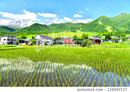 白馬山及白馬櫂池避暑山莊週邊景色（長野縣小谷村）[2025年6月] 126995537