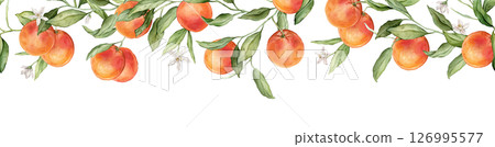 Seamless horizontal frame or banner tropical grapefruit with pink flowers. Hand drawn watercolor illustration on white isolated background. Citrus pattern for frame or banner. Fruit with green leaves 126995577
