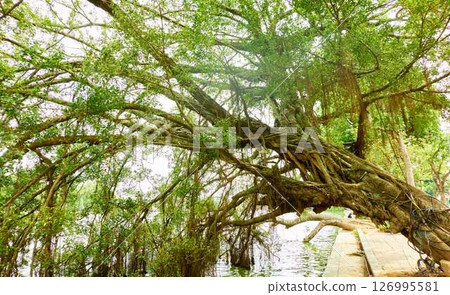 越南河內還劍湖 越南河內還劍湖 126995581